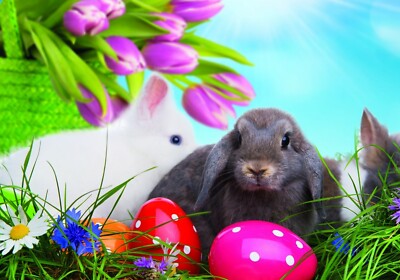 A4 Ostern Poster (nagelneu)