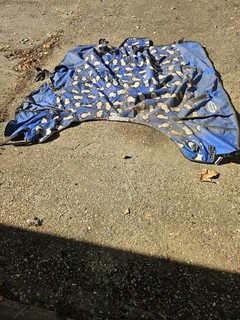 Weatherbeeta CUTE Turnout Rug