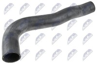 NTY GPP-FT-100 Ladeluftschlauch FüR CitroËN Passend FüR Fiat Peugeot