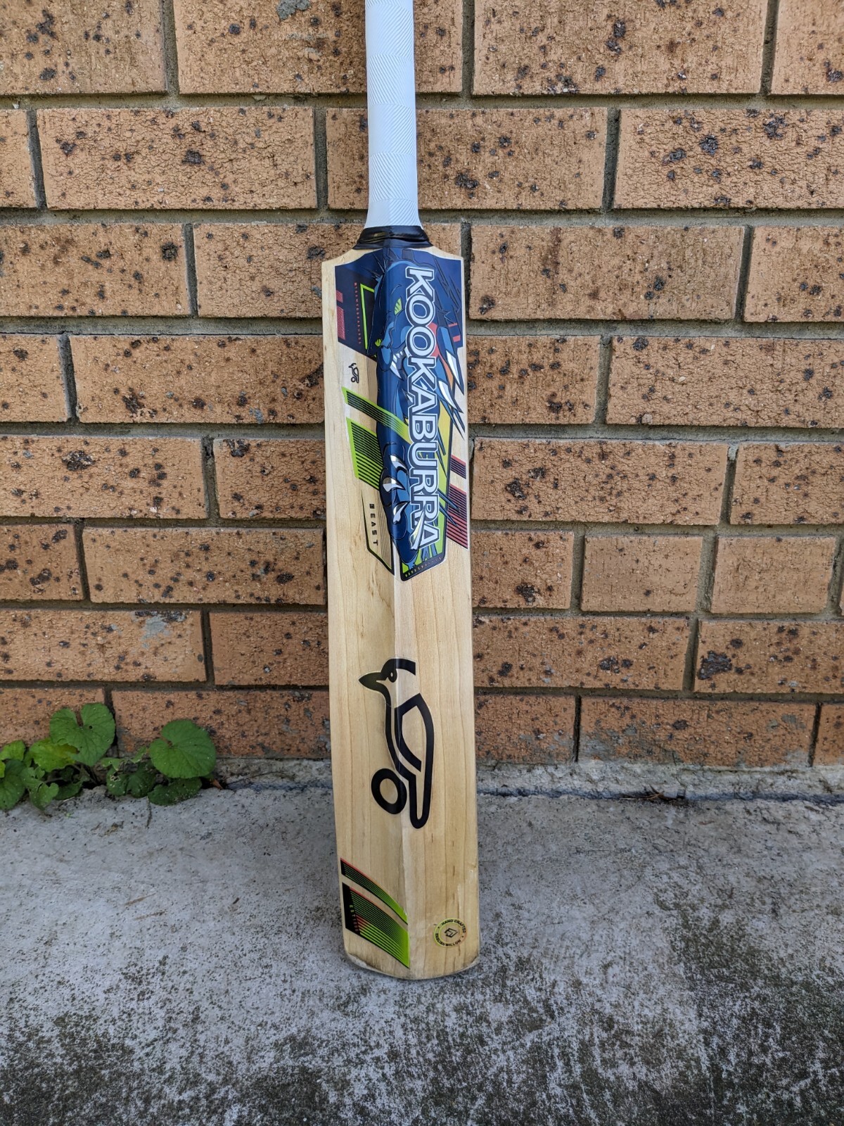 Kookaburra Cricket Bat English Willow eBay