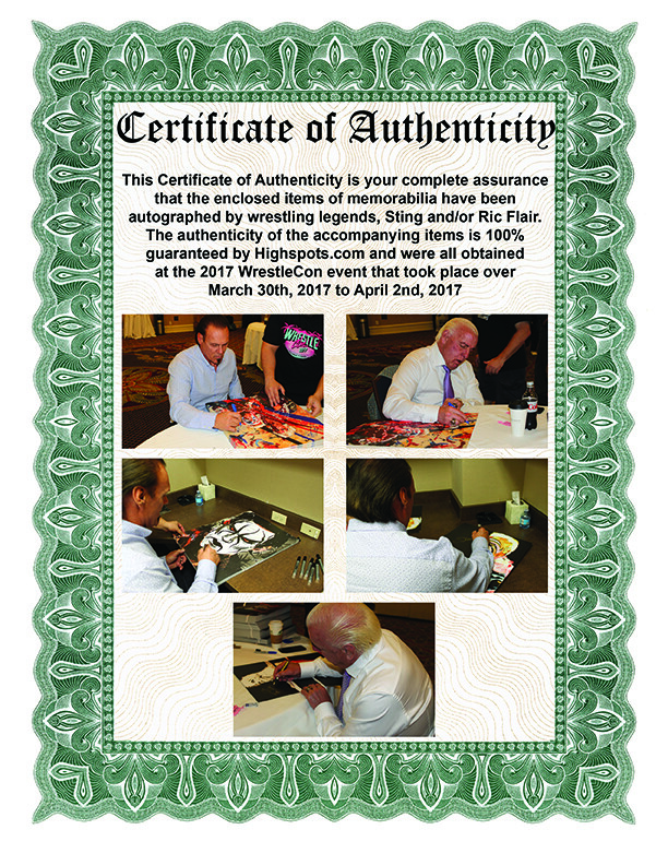 Official Rob Schamberger - Sting & Ric Flair Hand Signed 24
