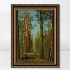 Framed Print The Grizzly Giant Sequoia, Mariposa Grove, California by Bierstadt
