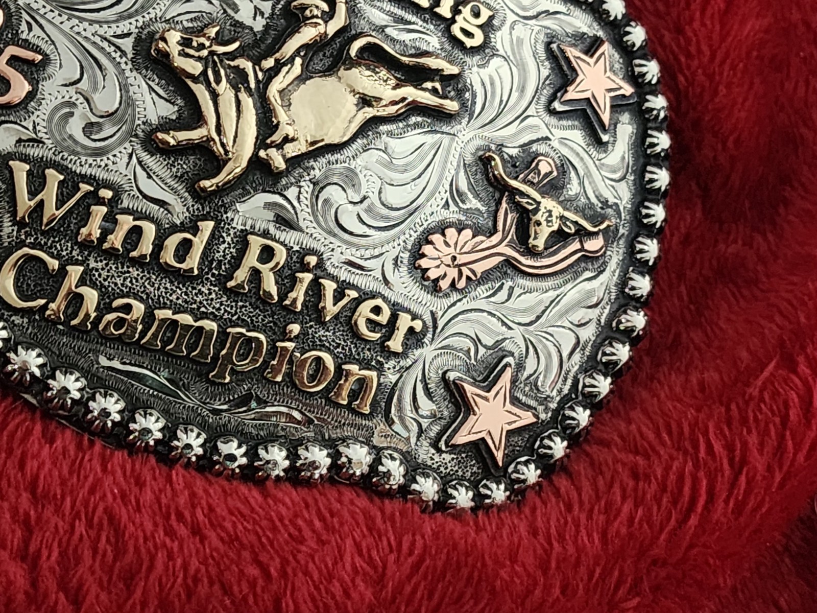 Pro Rodeo Trophy Rodeo X-Treme 1995 Bull Riding Champion Trophy Buckle Collectible