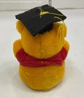 Pinnie the pooh graduation doll — photo 2