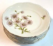 Vintage Mitterteich Daisy Bell Set Of 6 Salad Plates Porcelain Germany