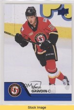 2020-21 Upper Deck AHL Blue Glenn Gawdin #29 READ w1s