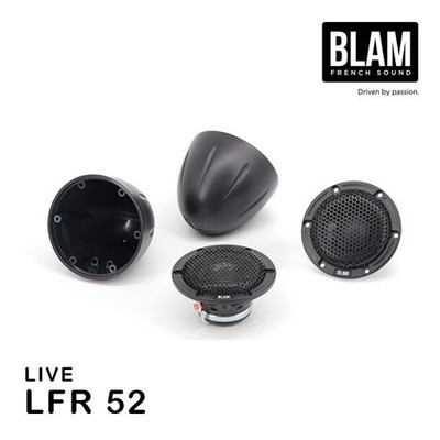 BLAM LFR 52 50mm Full-Range Speaker Driver Neodymium Magnet