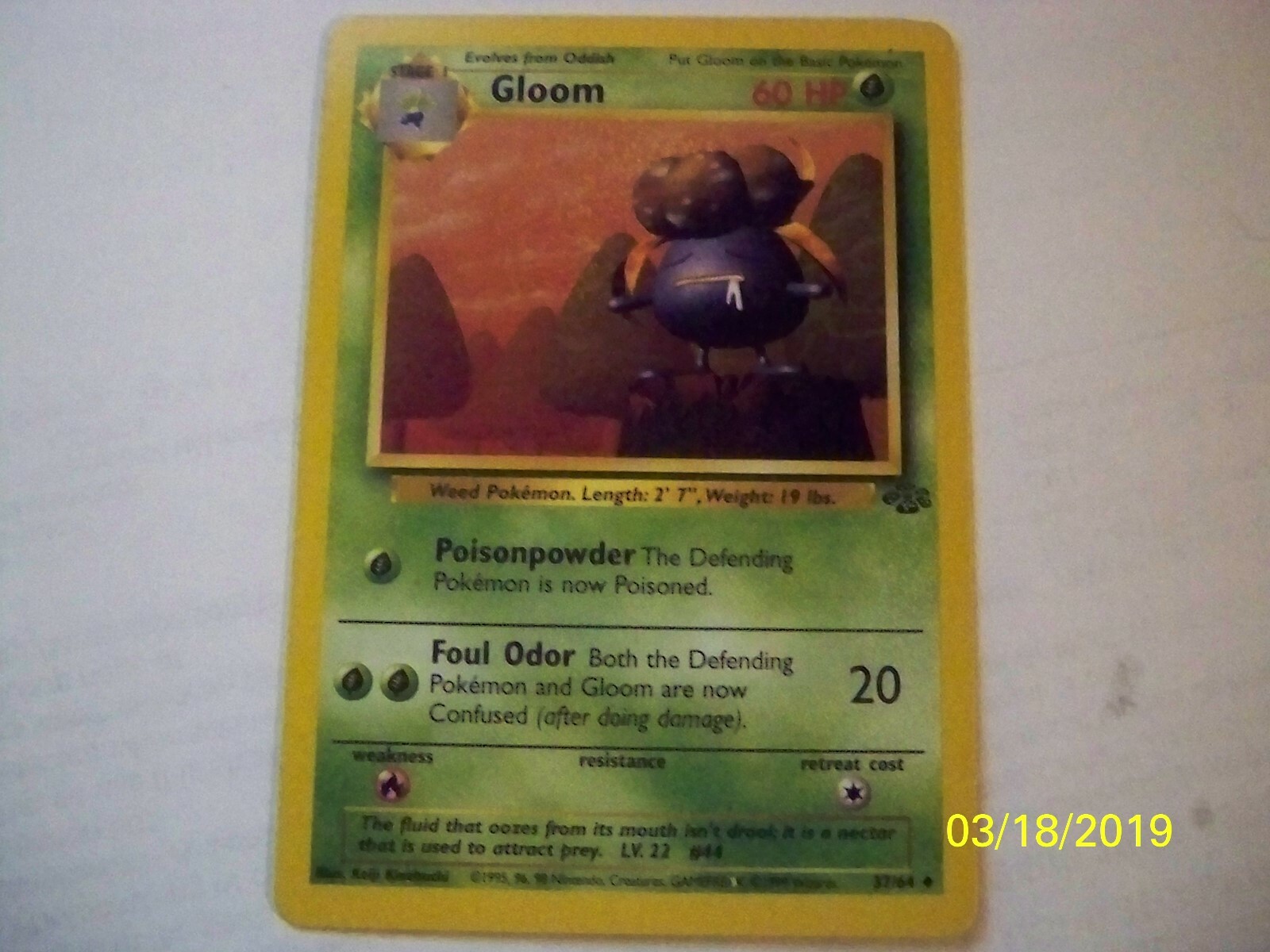 Gloom 37/64 - NM / M - Jungle Pokemon Card