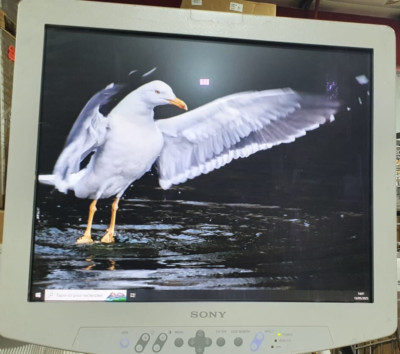 Sony LMD-1950MD/HD Monitor w/ Sony AC-2450MD Power Supply
