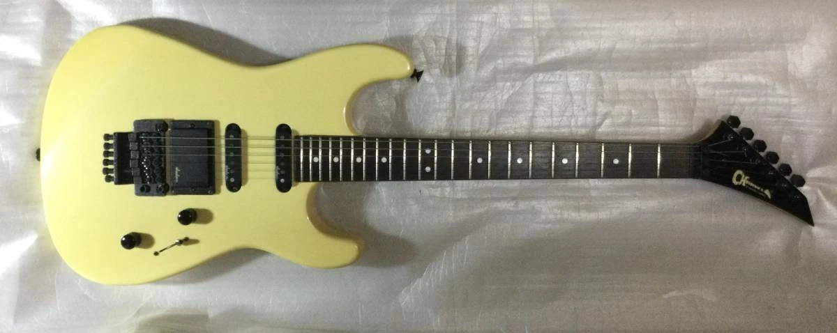 Charvel ebay deals