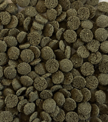 Mini-Algen-Wafers mit 6% Spirulina / L-Welse / Bodenfutter / Welschips 100 Gr.