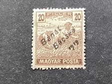 ICOLLECTZONE  Hungary 10N23 VF hinged  (1)