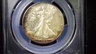 1943‑S Walking Liberty Half Dollar PCGS MS65+ – Bright Luster – Cert# 35249904