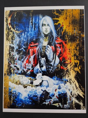 Castlevania Harmony of Dissonance GBA Game Boy Advance Art Print Glossy Poster