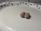 Dug Civil War era William  type 2 cleaner bullets  — photo 6