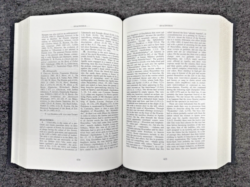 Dictionary of Deities And Demons In The Bible Karel Van Der Toorn HC Revised Ed - Picture 16 of 19