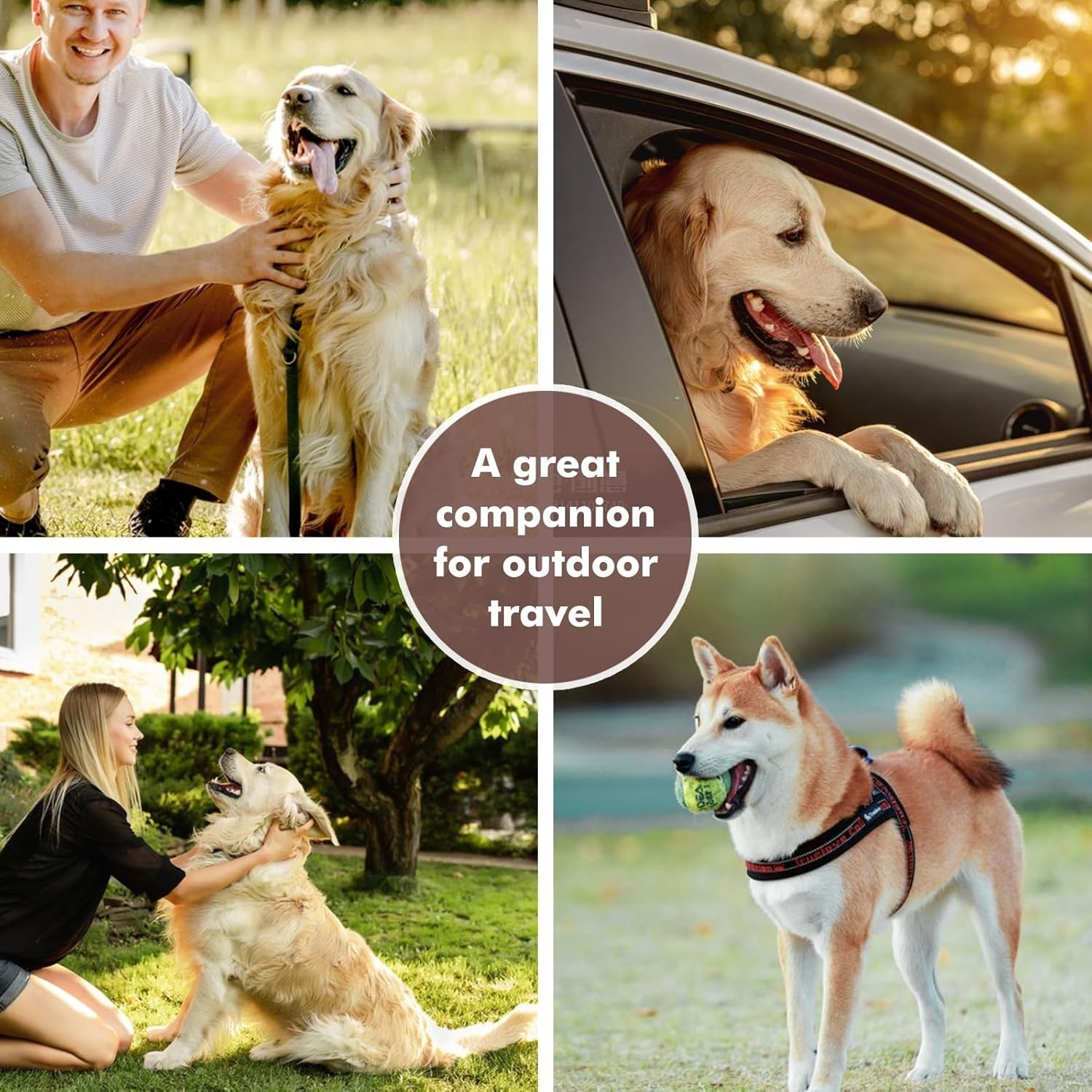 Travel Dog Bowl, Portable Food and Water Bowls for Dogs and Cats 2-in-1 (Large)