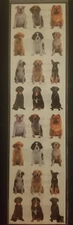 Paper House StickyPix 2" x 8" Mini Mixed Dogs - NEW