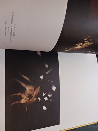 Gonzalo Lebrija Possibility of Disaster 2013 Mexico hardcover exhibition catalog - Picture 15 of 18