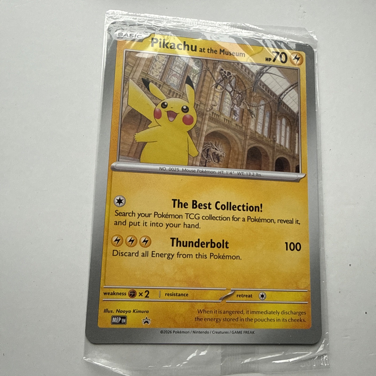Pokemon TCG Pikachu At The Museum Promo Jumbo Card