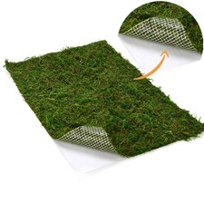 Dried Moss Mat Wedding Birthday Party Fairy Garden Decor Dark Green 14x9