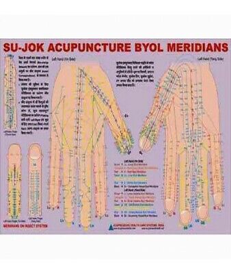 Byol Meridian Chart In Sujok Therapy