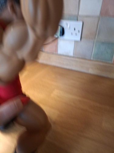 JAKKS WWE RING GIANTS ROB VAN DAM 14" AZIONE POSABILE sciolto 2006 - Foto 18 di 24