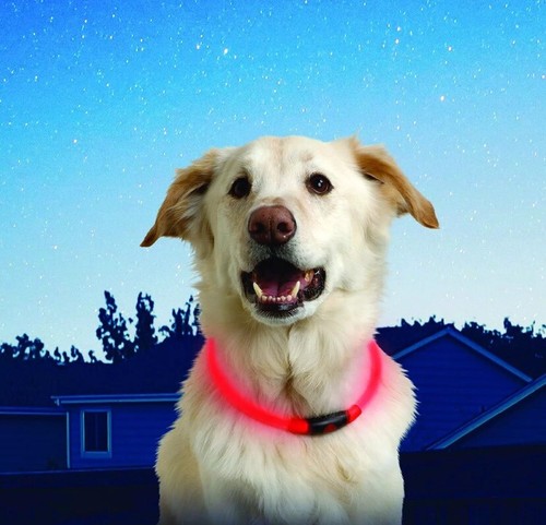 Nite Ize NiteHowl Led Safe Necklace 12" to 27" Red NEW!!! - Picture 5 of 12