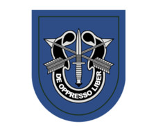 4" 19th special forces group army bumper sticker decal usa made