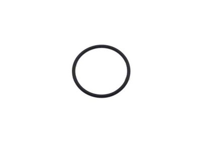 Ford EcoSport MK2 BK Thermostat Robel Ring W715778-S300 5264599 Neue Echtheit