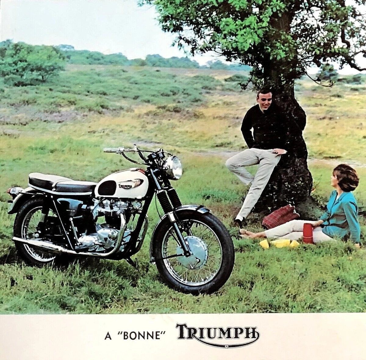 1966 2024 triumph t120r