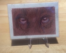 Original Realism Drawing of Animal Eyes,Handmade,Non sport trading card,ACEO,ATC
