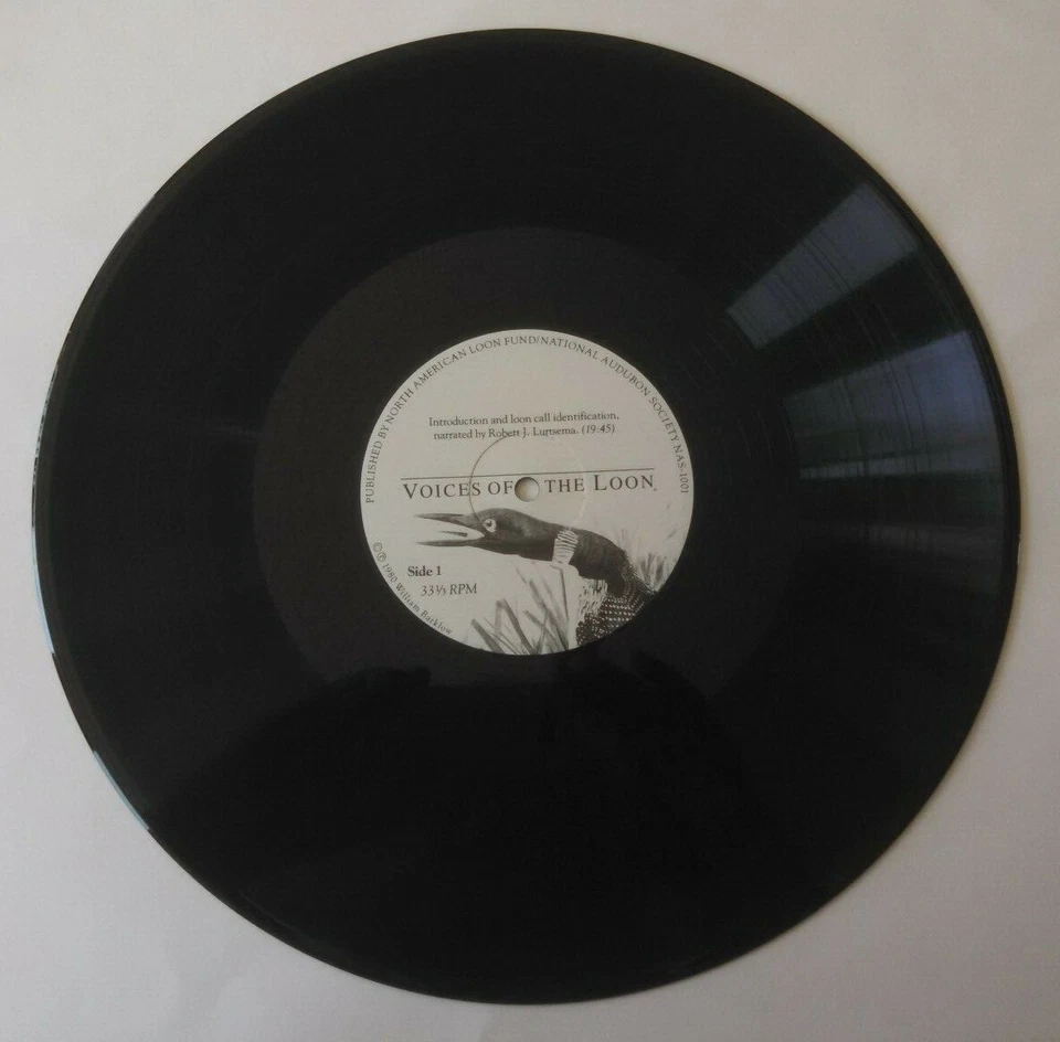 Voices of the Loon NAS-1001 1980 The National Audubon Society LP - Image 4 of 4