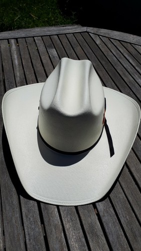 ADULT CHEYENNE WESTERN DESIGN STRAW HAT SIZES 53-62 WHITE - Picture 2 of 5
