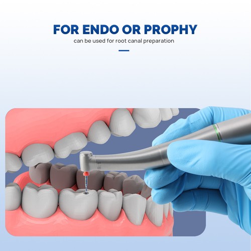 AZ Dental Endo Fiber Optic Handpiece 8:1 Contra Angle LED Endodontic Mini Head - Picture 4 of 44