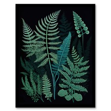 Elegant Fern Fronds Botanical Nature Teal Blue Green Black Wall Art Poster Print