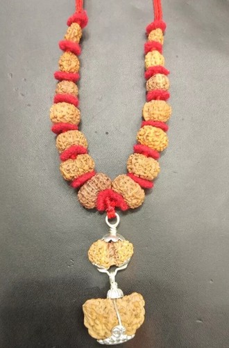 Rudraksha Siddha Mala - Java Beads {1 till 14 Mukhi Rudraksh} - Lab Certified - Picture 3 of 4