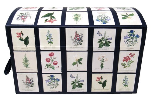 Punch Studio Decorativo Baúl Caja Botánica Floral Diagrama 26328 Pequeño - Imagen 3 de 7