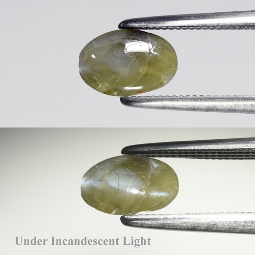 💎 1.05ct Oval Cabochon Natural Green Cat's Eye Chrysoberyl - Sri Lanka Gemstone - Picture 1 of 6