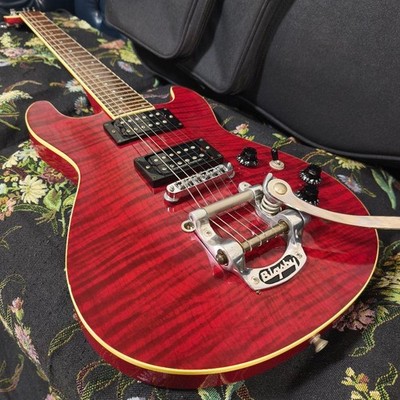 Fernandes APG-55S BIGSBY Duncan Schaller