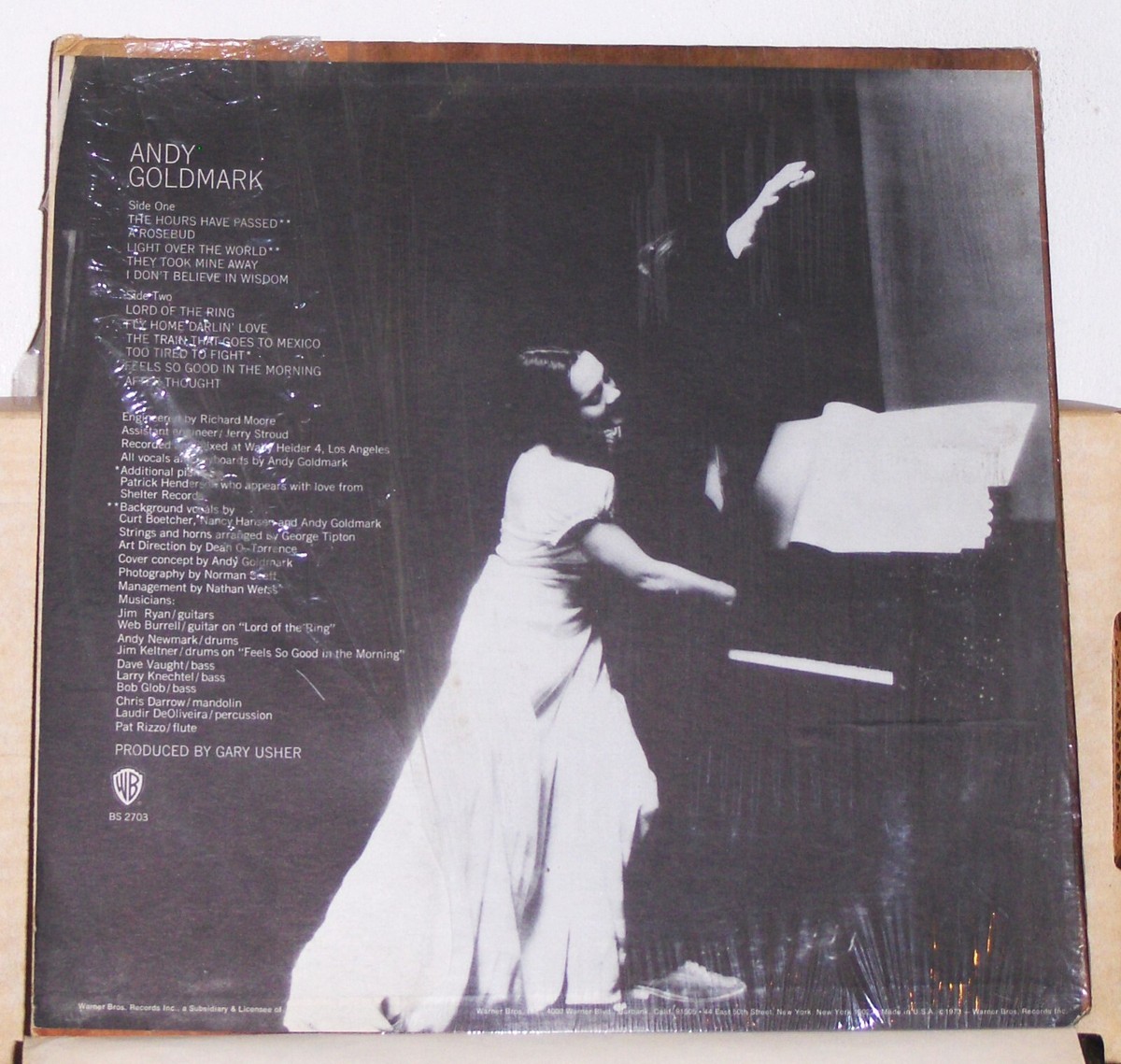 洋楽 ANDY GOLDMARK Andy Goldmark - Self Titled - 1973 LP Record Album - Vinyl