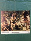 Caveman Color Movie Lobby Card Set of 8- Ringo Starr-Dennis Quaid-Nice-1981 — photo 10