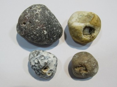 S306 Sammlung 4 Klappersteine Flint + Schwämme Normandie 2-4m zus. 103g Rarität