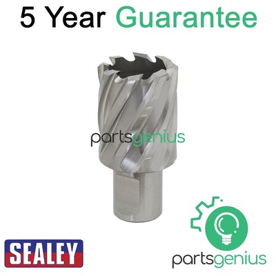 Sealey Worksafe �� 30 mm HSS Mag Bohrer Schnitttiefe 25 mm RBHSS30S