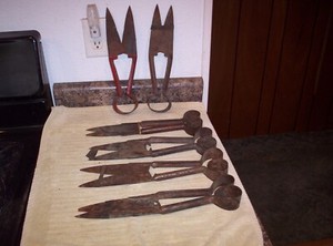 6 - VINTAGE SHEEP HAND SHEARING SHEARS - FORGED STEEL