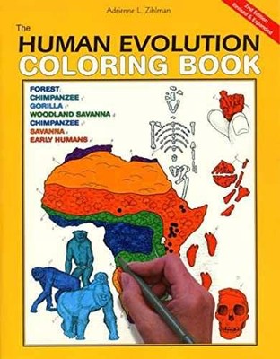 The Human Evolution Coloring - Paperback, by Adrienne L. Zihlman - Very Good