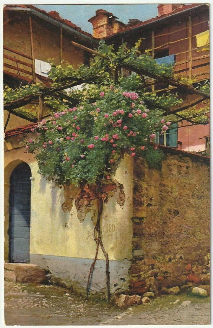 MURALTO - SVIZZERA - LAGO MAGGIORE -37519-