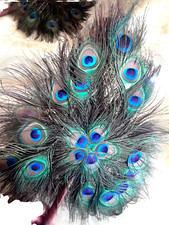 PAIR 1940s EXOTIC PEACOCK FEATHER HAND HELD FANS BRILLIANT VIBRANT COLOR DISPLAY