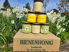 Leckerer Honig aus meiner Hobbyimkerei 6x500g