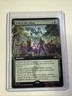 MTG Will of the Sultai (Extended Art) Commander: Tarkir: Dragonstorm Regular